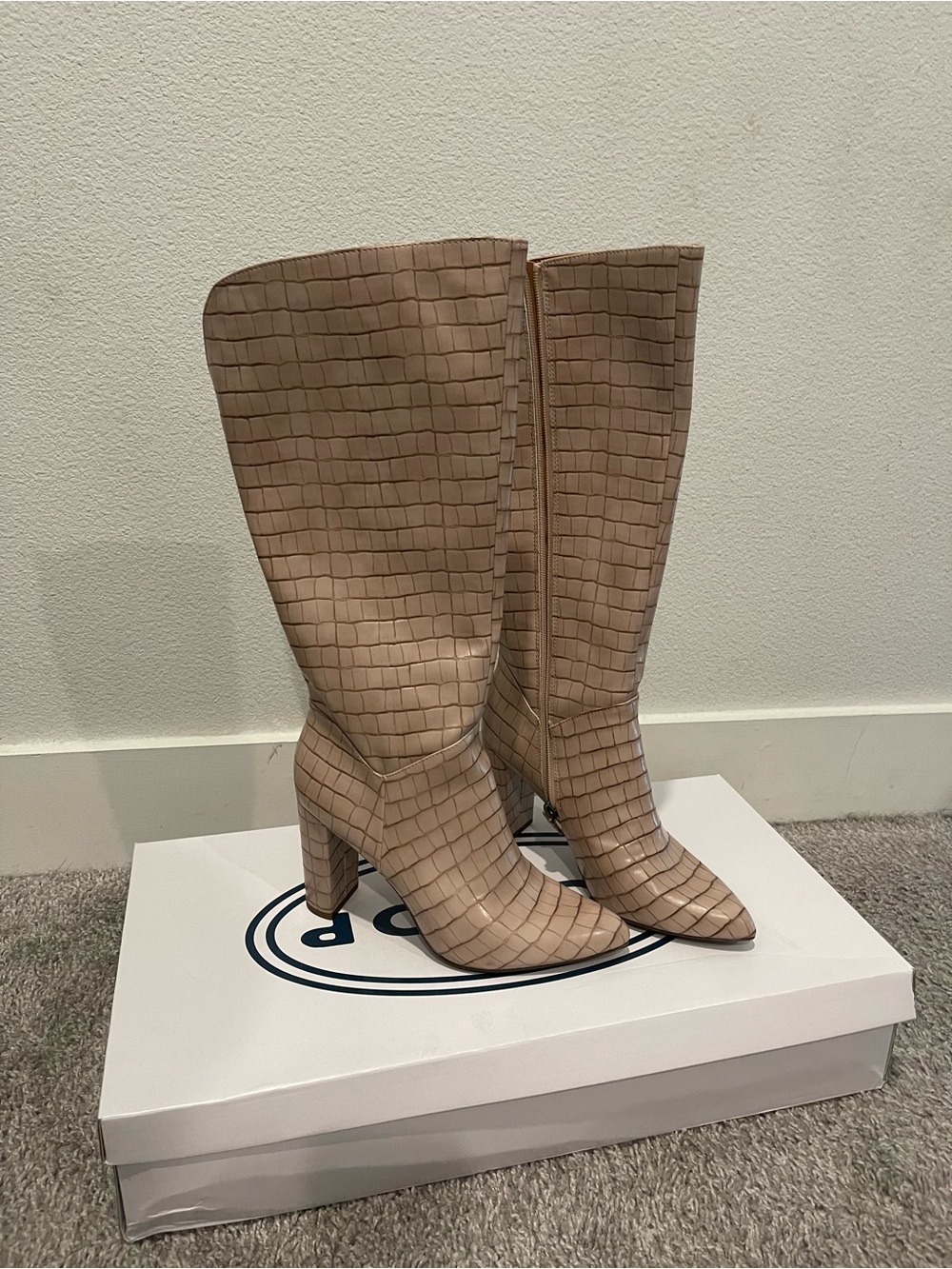 Women’s Tall Croc-Embossed Pointed Toe Boot in Beige